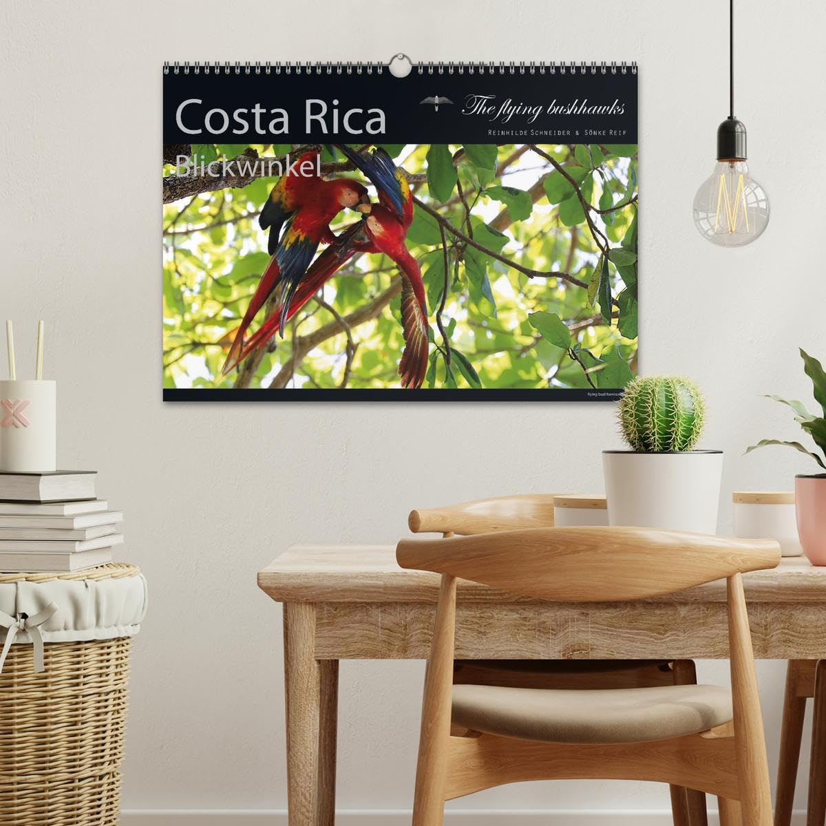 Costa Rica Blickwinkel 2027 (Wandkalender 2027 DIN A3 quer), CALVENDO Monatskalender: Costa Rica - flying bushhawks Blickwinkel Kalender (CALVENDO Orte)