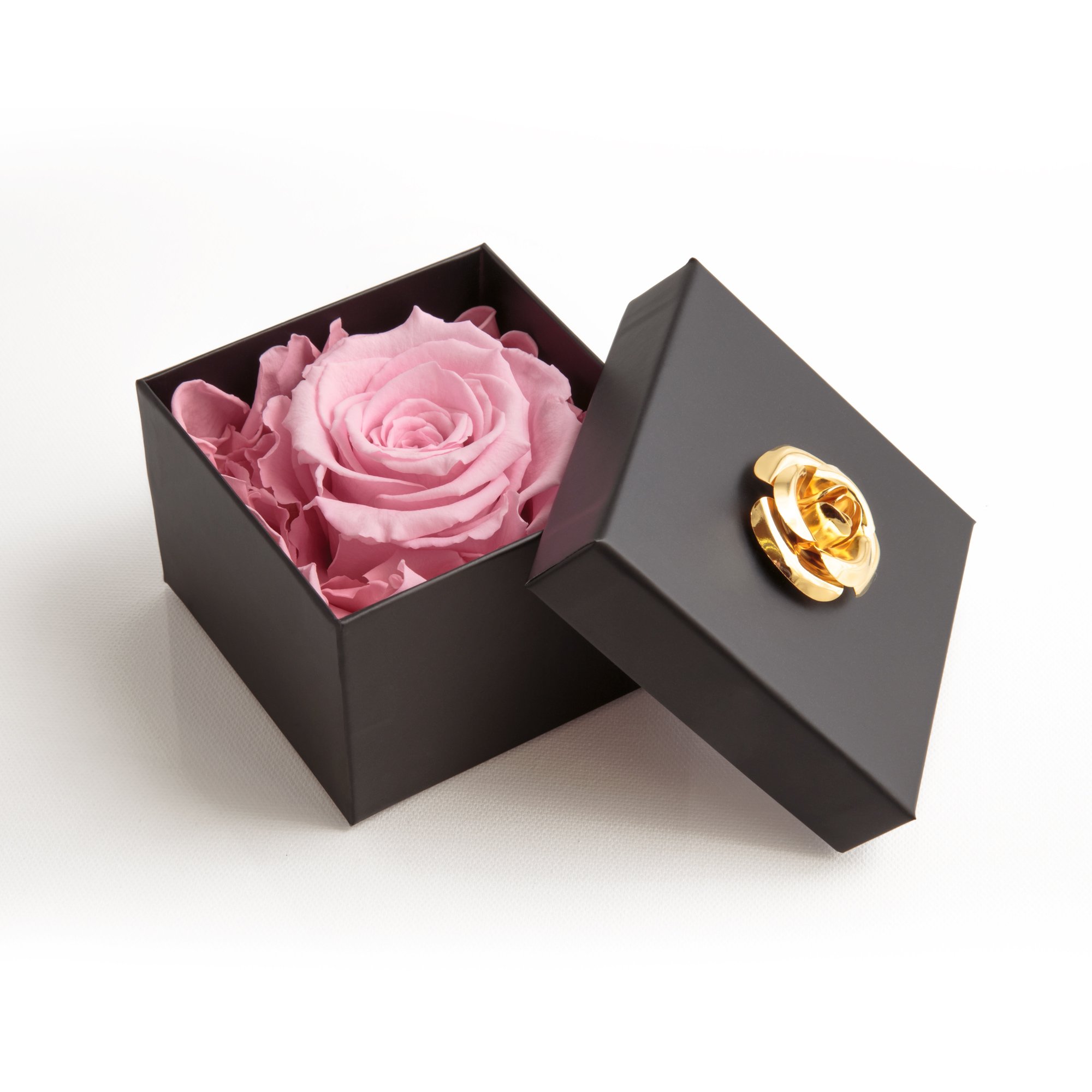 ROSEMARIE SCHULZ Rose Éternelle Noir En Boîte Cadeau - Fleur Naturelle Conservée Jusqu'à 3 Ans - 8,5x8,5 Cm