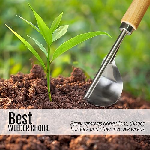 Miniatura 5 de Betus Deshierbar manual manual - Base de palanca a prueba de flexiones para una eliminación de malezas súper fácil y excavación más profunda - Acero