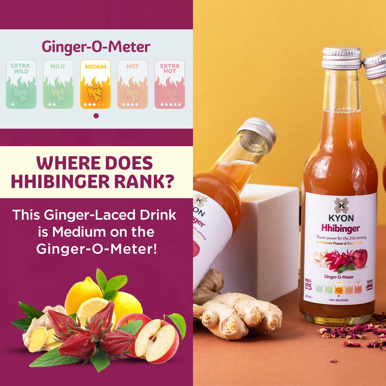 Napój Kyon Ppinger – 250 ml Sok imbirowy z jabłkiem, orzeźwiający i bezalkoholowy napój imbirowy, dostępny w opakowaniach po 6, 12 i 24 sztuki (250Ml-24 Pack, Hhibinger)