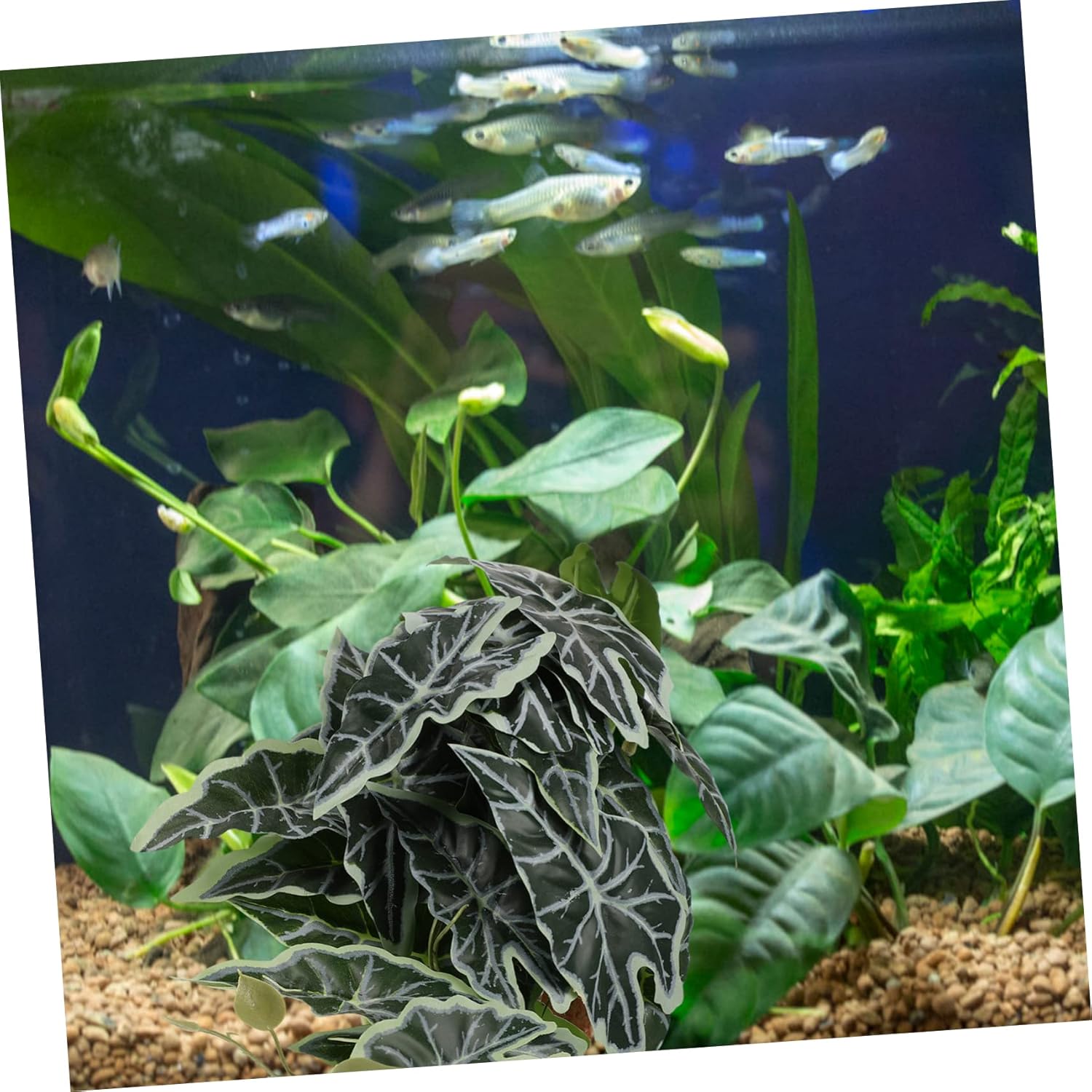 Angoily Gecko Artificial Plants Spider Plants 4pcs Decor Tank Fake Artificial Simulated Adornment for Plant Plants Reptile Decorative Landscape