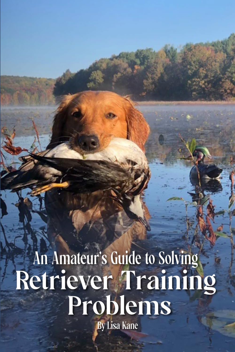 An Amateur’s Guide to Solving Retriever Training Problems      Paperback – October 16, 2025