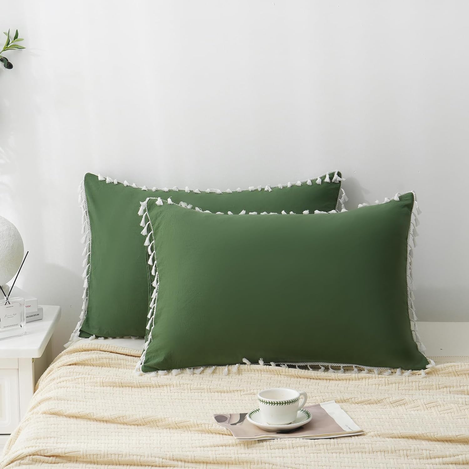 Brownmonkey Tassel Ultra Soft Velvet Body Pillow Cover/Case Pillowcase with Hidden Zipper (Teal, 20x36)