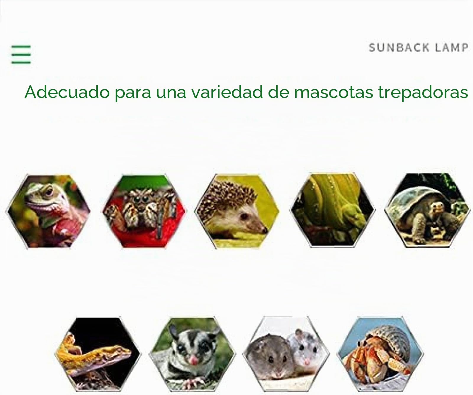 Terrarios para Reptiles, Caja para Mascotas Trepadora De PVC Terrario De Temperatura Constante, Fácil De Montar Alimentación Ventilada Transparente para Lagarto Tortuga Araña Serpiente Erizo Gecko