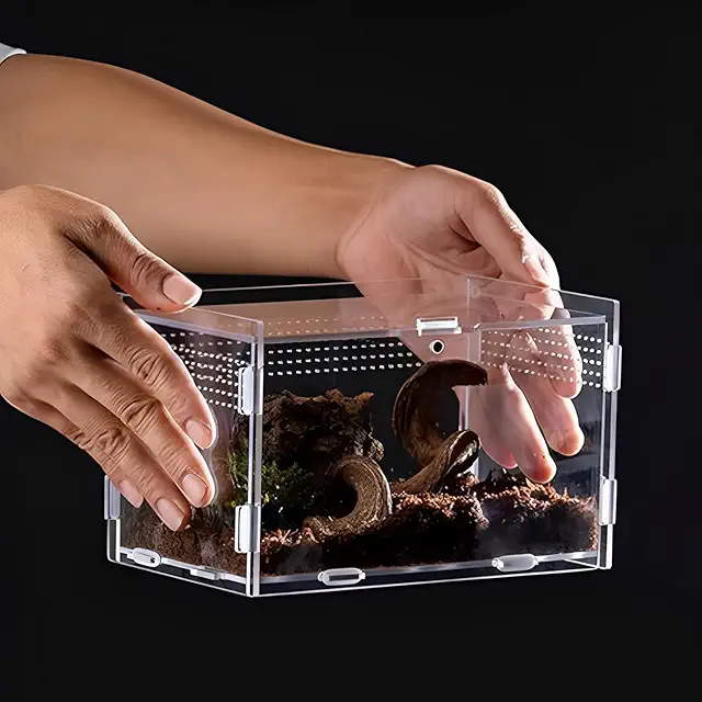 Acrylic Terrarium voor Wandelende Takken - Transparant Insectenvoederbak 20x12x12cm