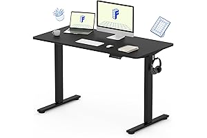 FLEXISPOT Electric Standing Desk, 48 x 30'' Sit Stand Desk, Black Frame + Black Top