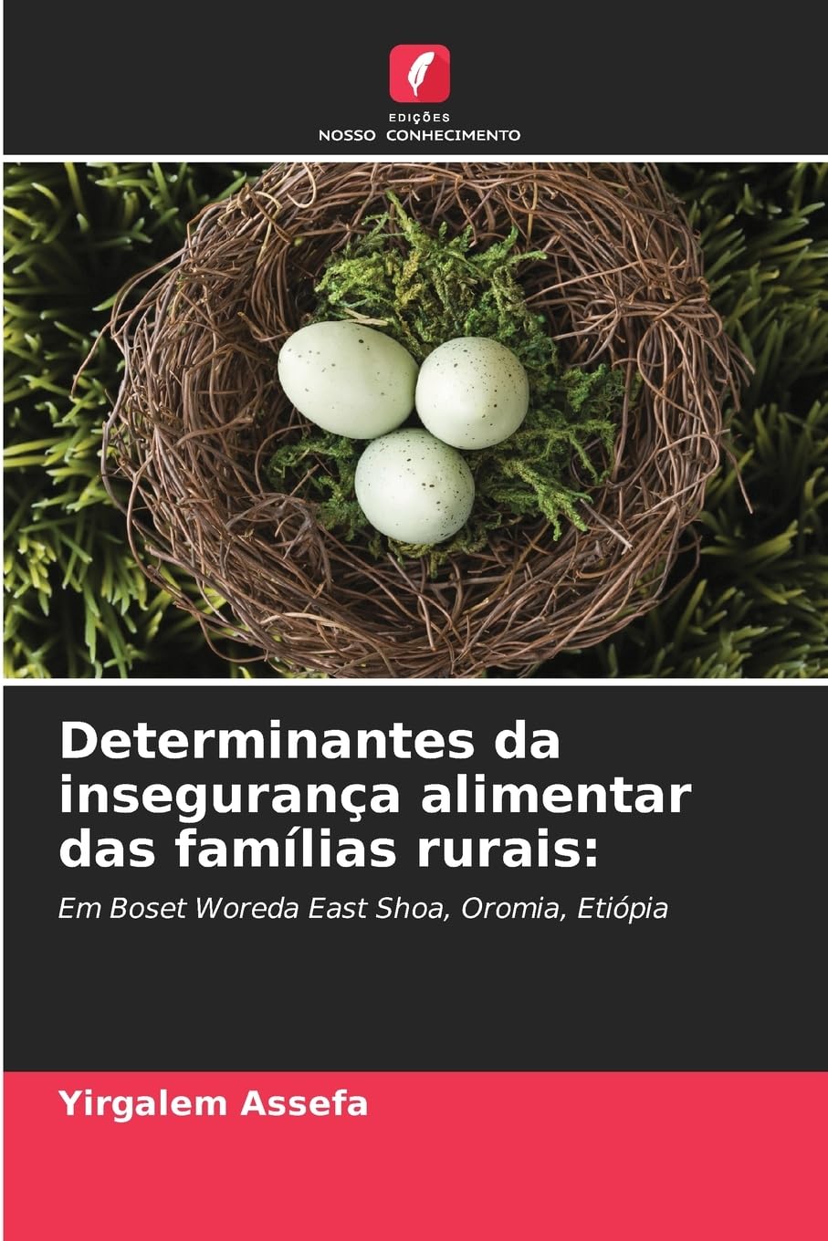 Determinantes da insegurança alimentar das famílias rurais: Em Boset Woreda East Shoa, Oromia, Etiópia