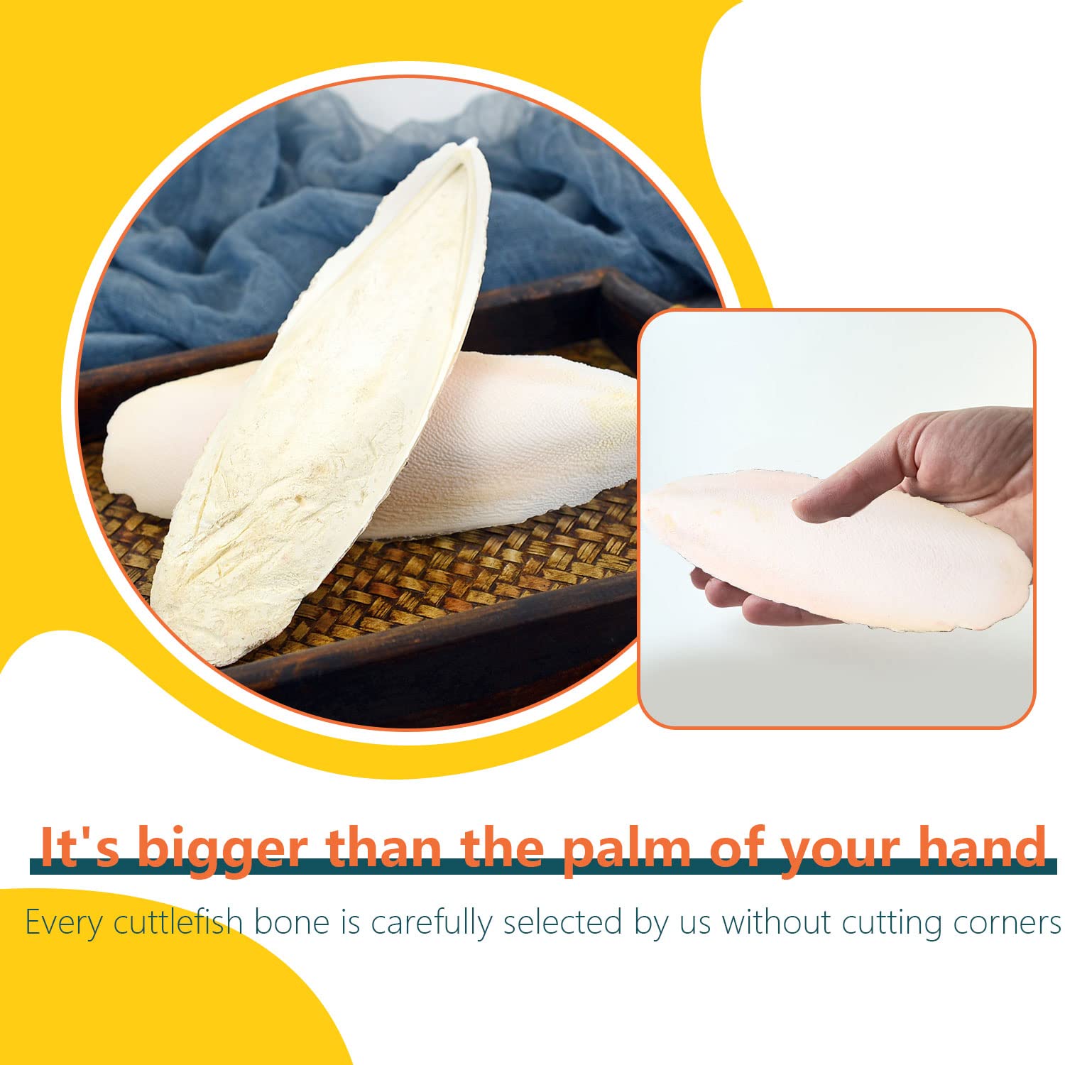 Newsmy 4 Pack Cuttlefish Bone for Birds, Natural Cuttlebone for Parrots and Budgies, Calcium Chew for Beak Care, Suitable for Snails and Tortoise [4Pcs 15CM] — view 5