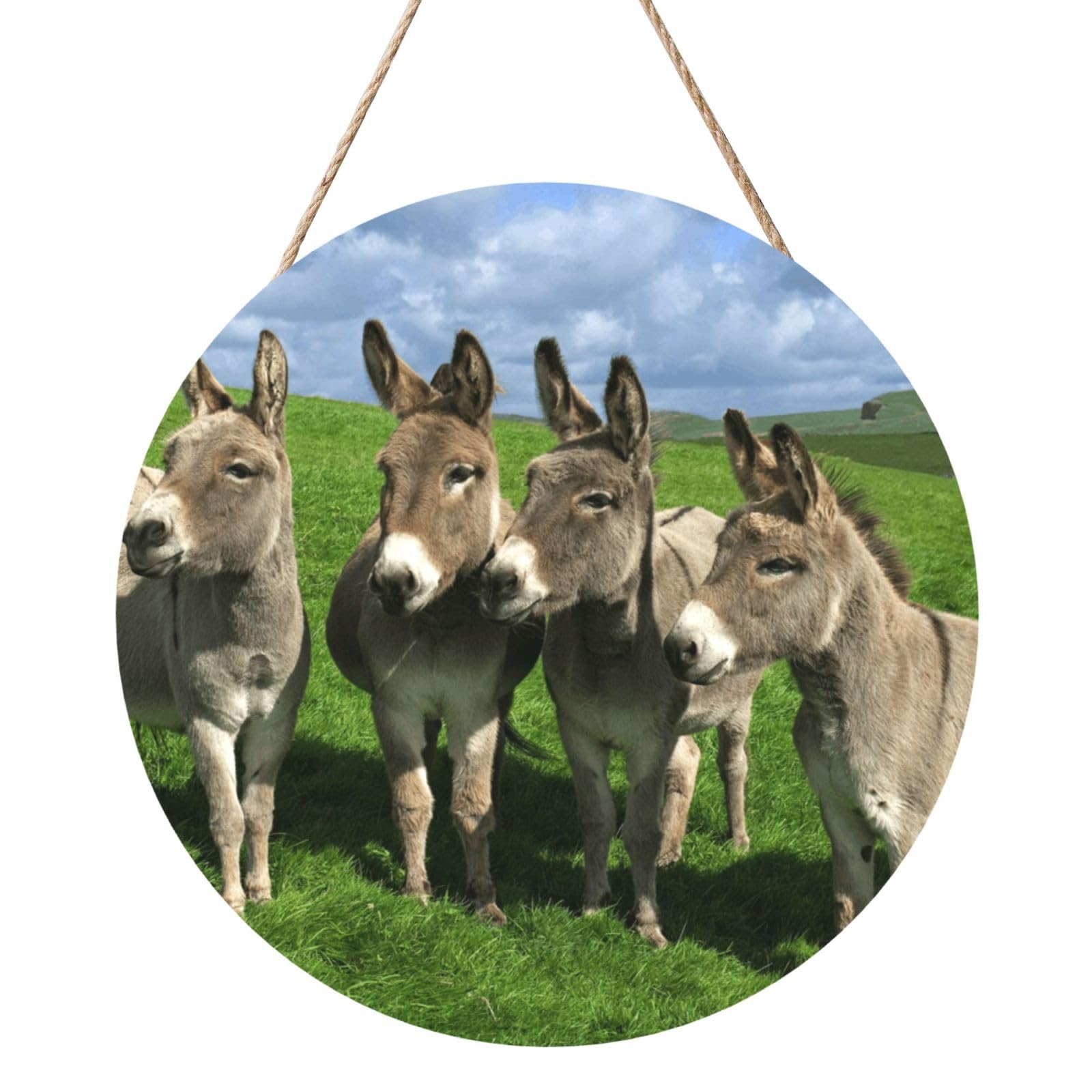 InOmak Small Donkey Meadows, Round Wood Panel Painting 12 in, Wall Hanging Painting For Home