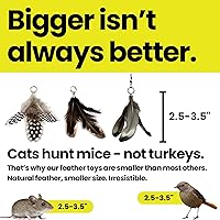 Vista 5 de Feather Toys Replacements (3 Pc) - Cat Toys & Kitten Toys for Indoor Kittens, Set of Replacement Feather Attachments Extra Small and Durable, for