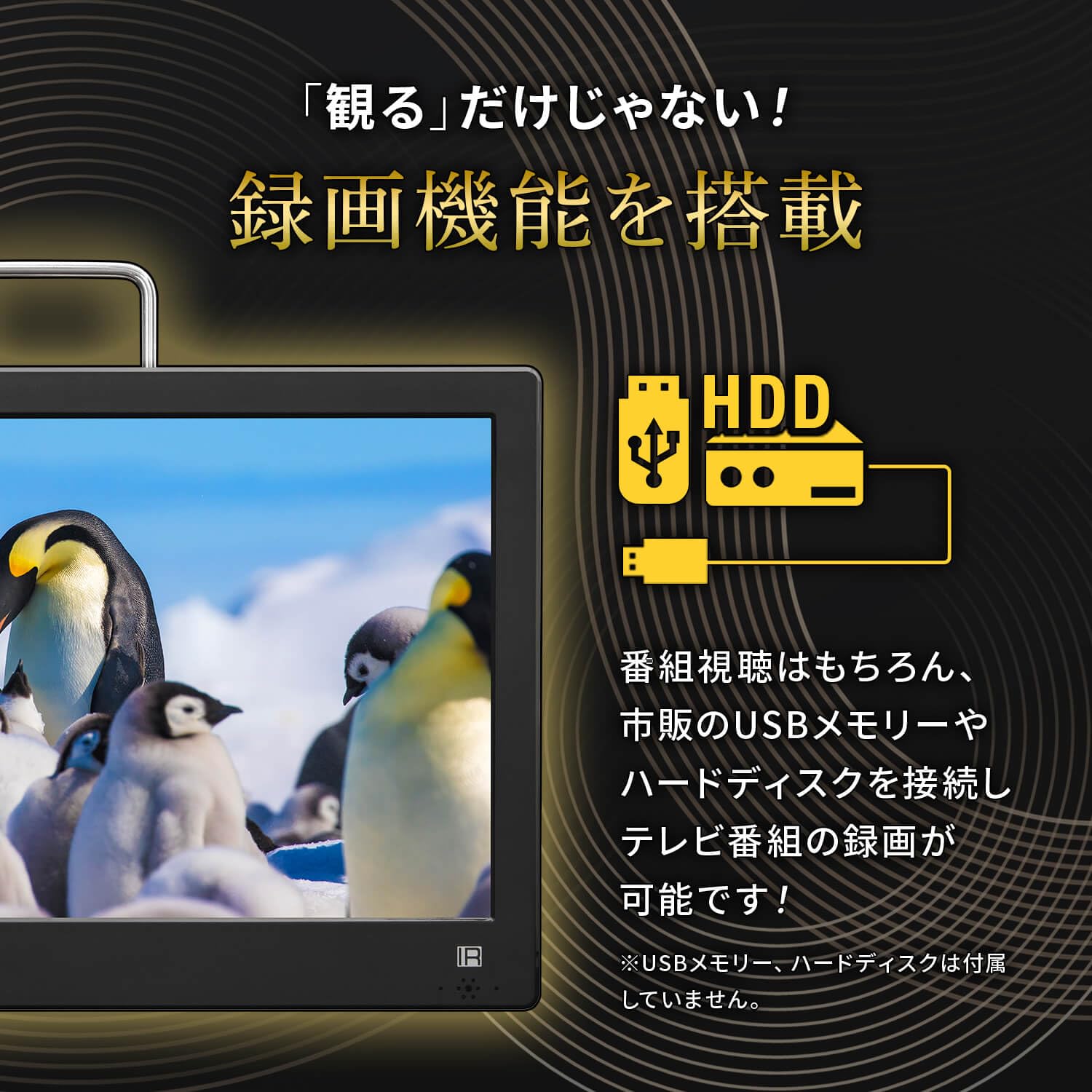 10.1型 録画機能搭載付きポータブル液晶テレビ /地デジ フルセグワンワグ ポータブルテレビ 10.1インチ 地デジ録画機能 3電源対応 地デジ