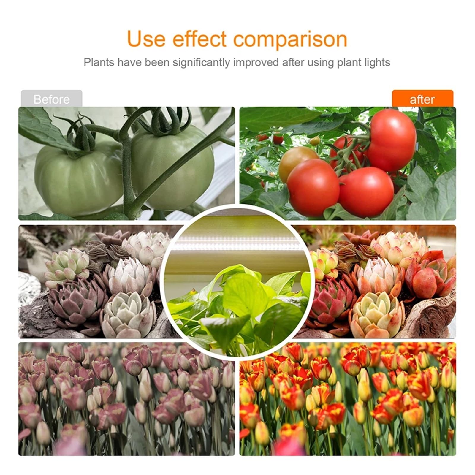 Lámpara de cultivo, Luz Led de cultivo for interiores, lámpara Phyto con temporizador USB for plantas, lámpara LED regulable, lámparas de cultivo hidropónico de espectro completo(Grow light 4IN1)