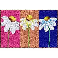 Knooptapijt sets voor volwassenen, tapijtvervaardigingsset voor volwassen beginners 80x115 cm knooptapijt kussen sets, tapijt borduurwerk naaldwerk