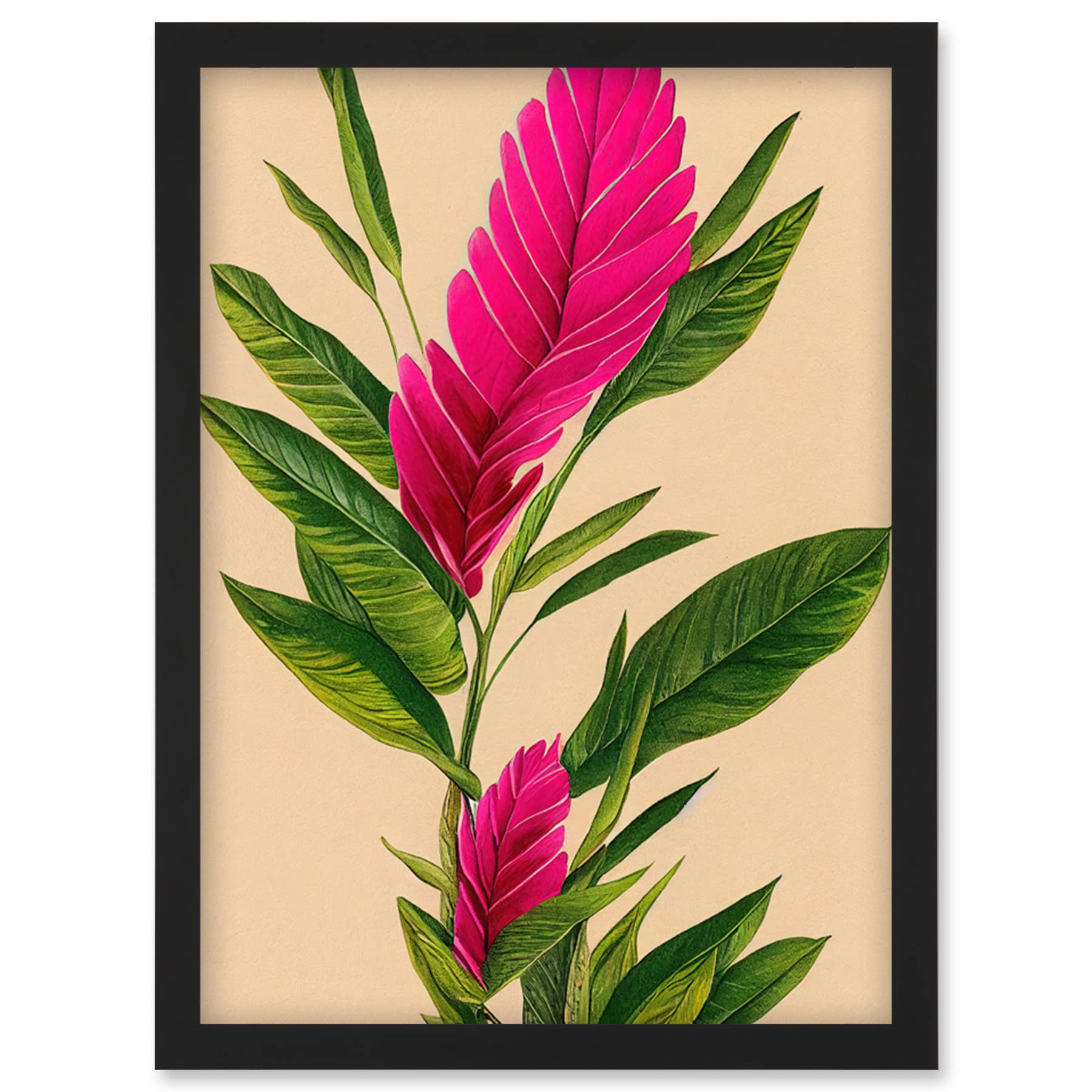 Wee Blue Coo Tropical Hawaiian Botanical Exotic Pink Floral illustration Artwork Framed Wall Art Print A4