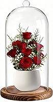 FISDEN Glass Cloche Dome Bell Jar 5x10 Inch with Wood Base - Clear Display Case for Plants, Flowers, Collectibles, Fairy Lights & Tabletop Decor