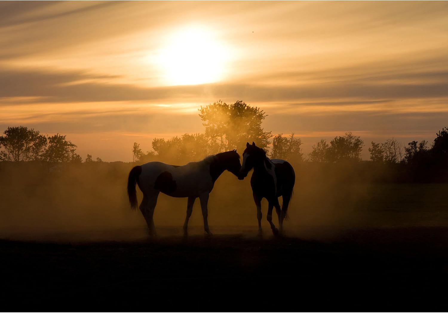wall26 - Silhoutte Horses in Love in The Netherlands at Sunset - Removable Wall Mural | Self-Adhesive Large Wallpaper - 66x96 inches