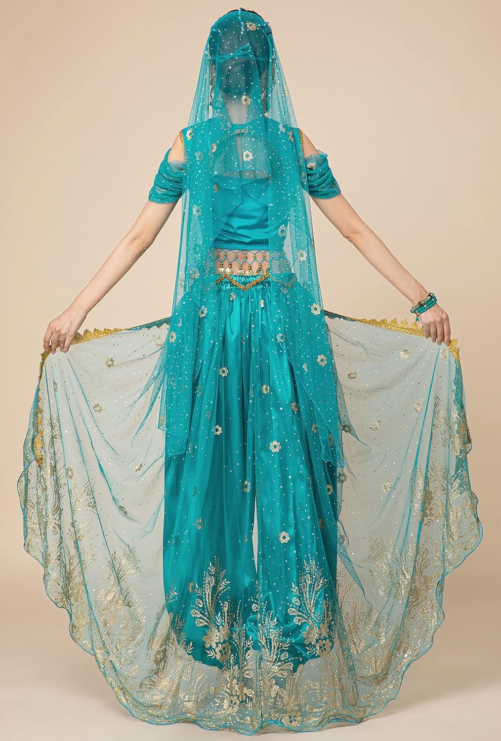 Women's Aladdin Jasmine Princess Dress Up Party Belly Dance Halloween Performance Costumes Cosplay Outfits