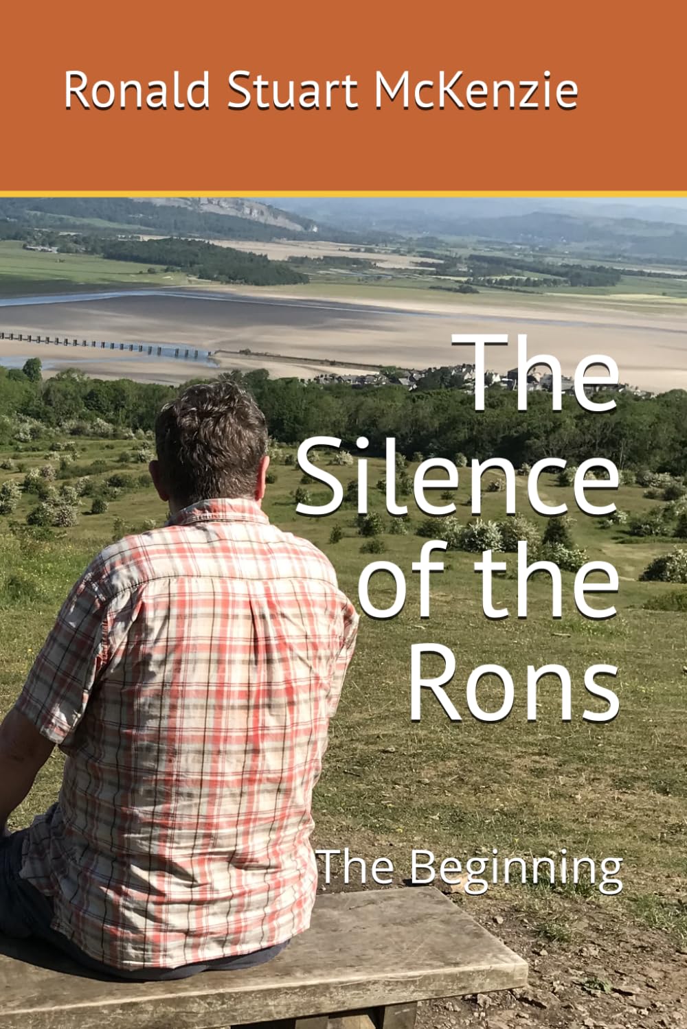 #1 The Silence of the Rons: In The Beginning (The Chronic Chronicles of The Rons)