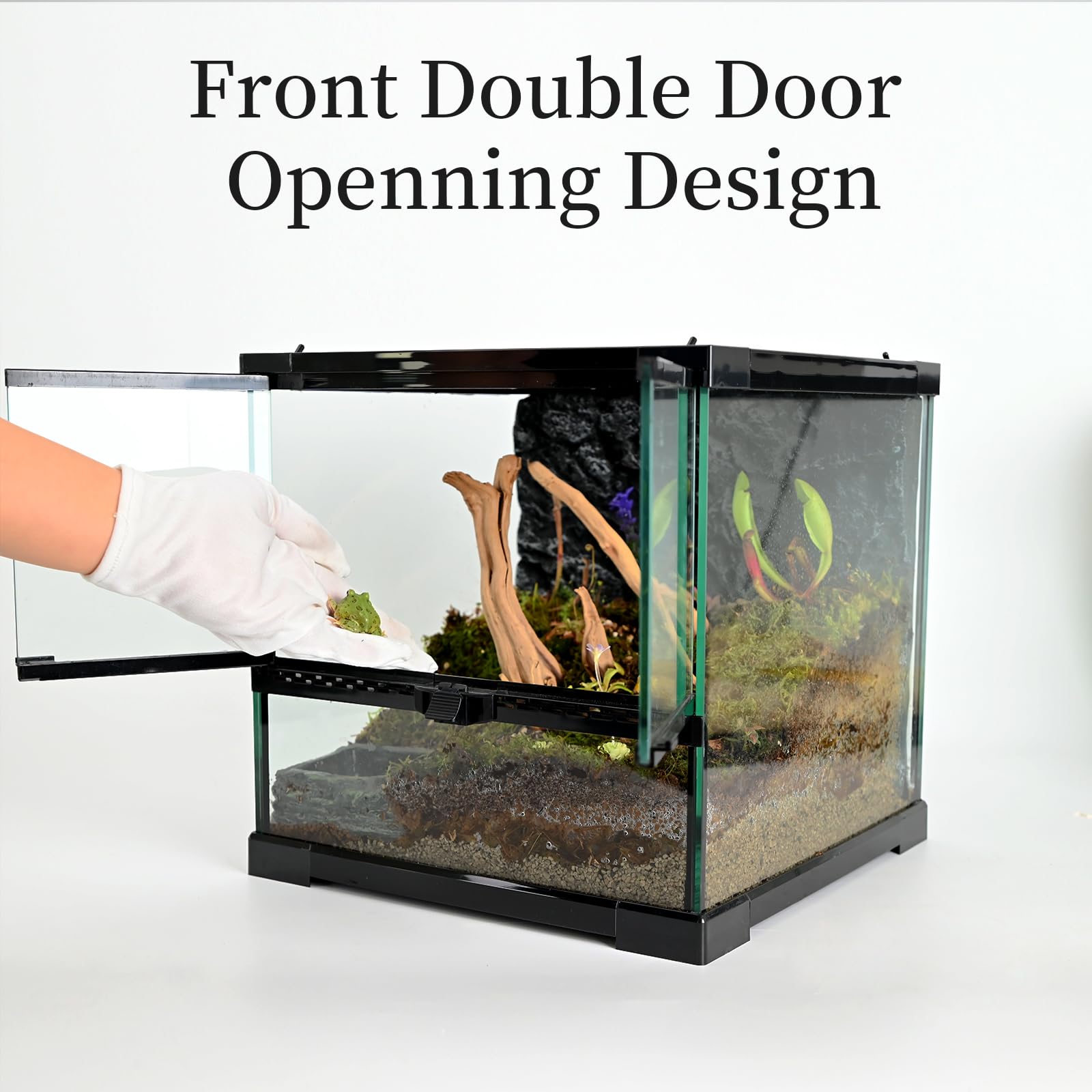 Tanque de vidrio para reptiles de 12 x 12 x 12 pulgadas, hábitat de terrario con puerta de doble bisagra y ventilación de pantalla superior para dragón barbudo, lagarto, geco leopardo,