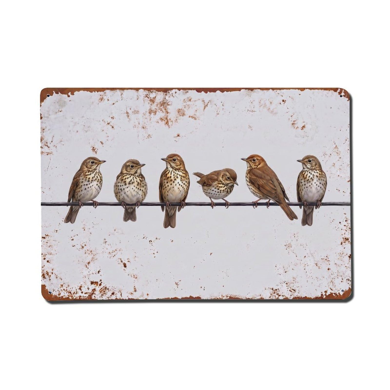 Vintage Retro Birds Song Thrush Metal Tin Sign