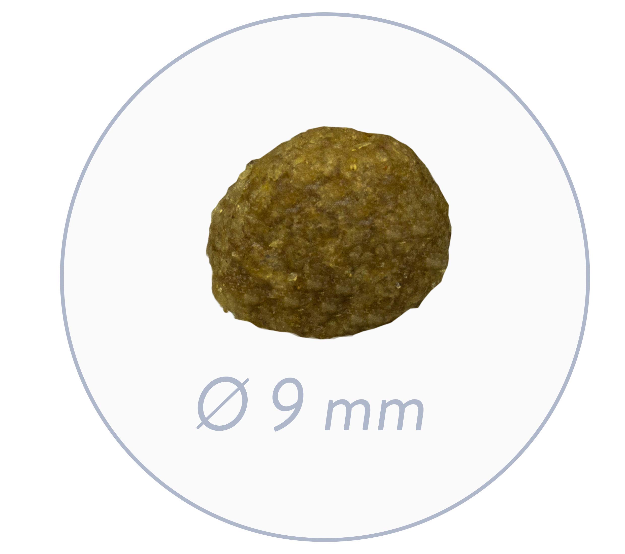 Sanabelle シニアチキンキャットフード 400g×5袋 Amazon | ザナベレ Sanabelle シニアチキン 8歳以上 高齢猫 全猫