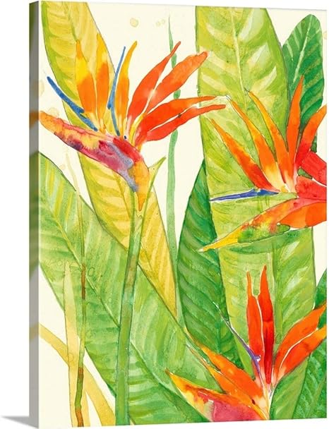 Amazon Com Watercolor Tropical Flowers Iii Canvas Wall Art Print Floral Artwork Posters Prints