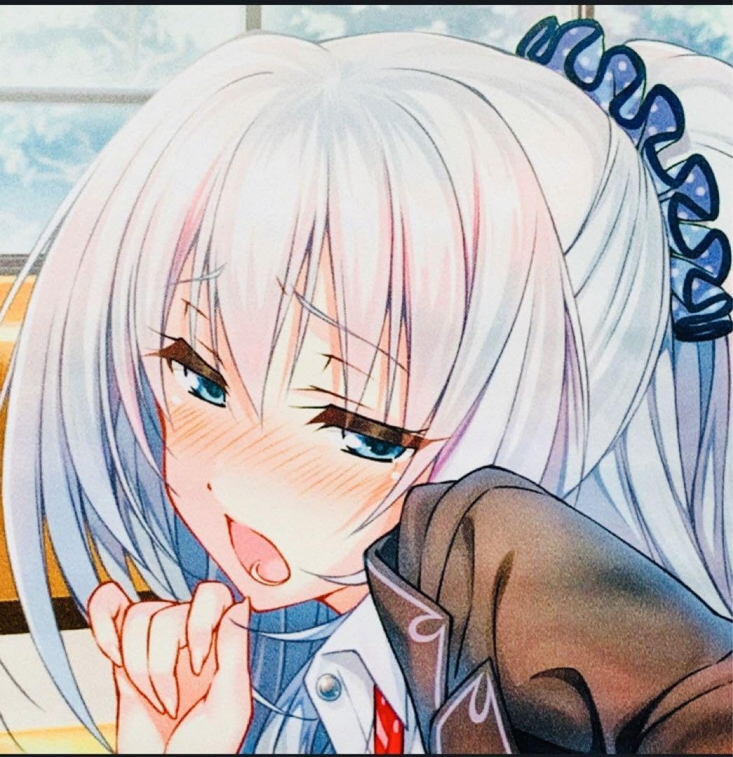 Amazon.co.jp: アマカノ ソフマップ 硯川・e・涙香 B2タペストリー