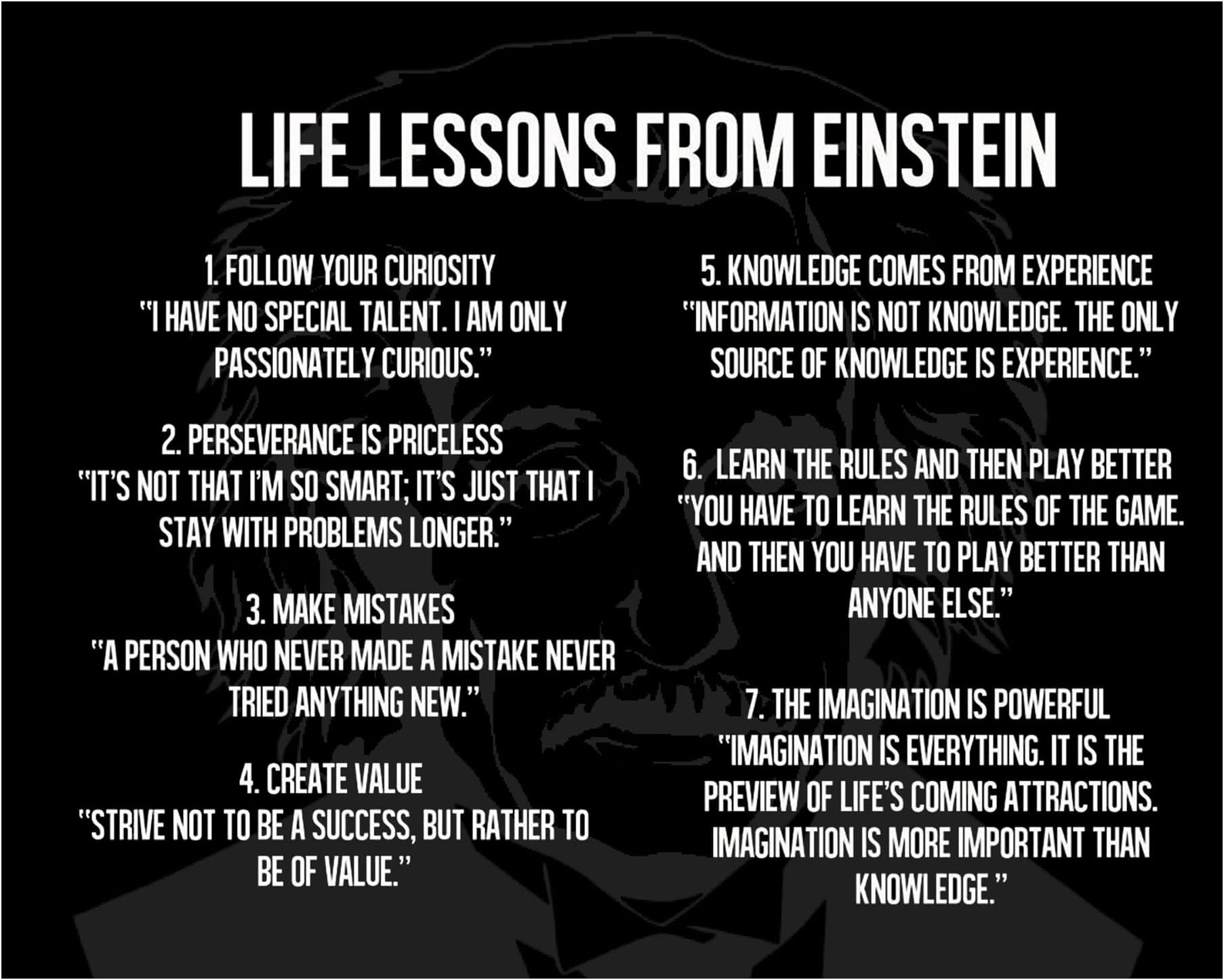 AMERICAN LUXURY GIFTS Logical Life Lessons - Motivational Wall Art Print with Einstein Quote for Rustic Home & Classroom Decor - Gift for Inspiration & Motivation (Unframed, 8 x 10 inches)