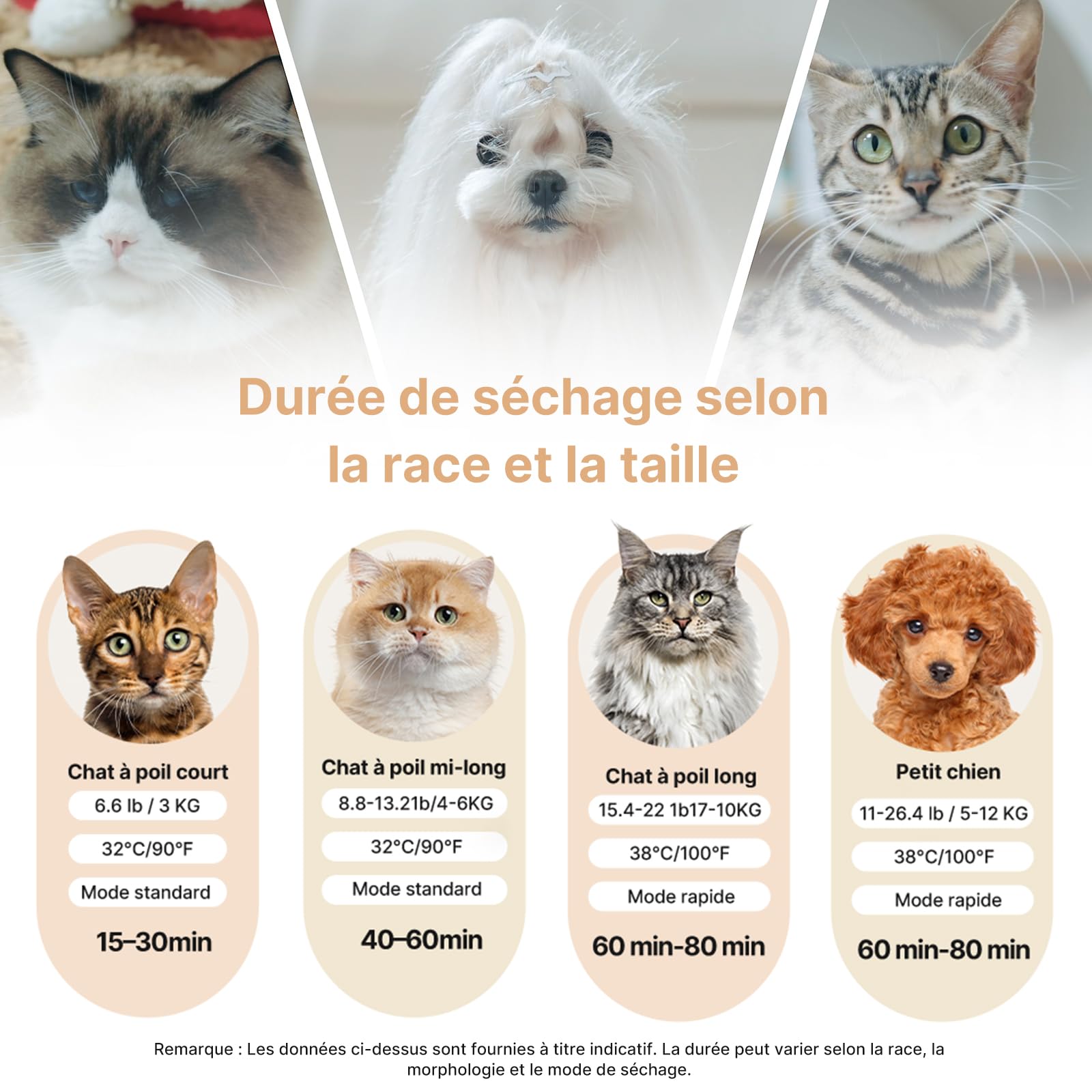 Pet Dryer - Sèche-cheveux pour chien - Efficace à 360 ° - Automatique et silencieux - Avec réglage intelligent de la température - Idéal pour les chats et les petits chiens