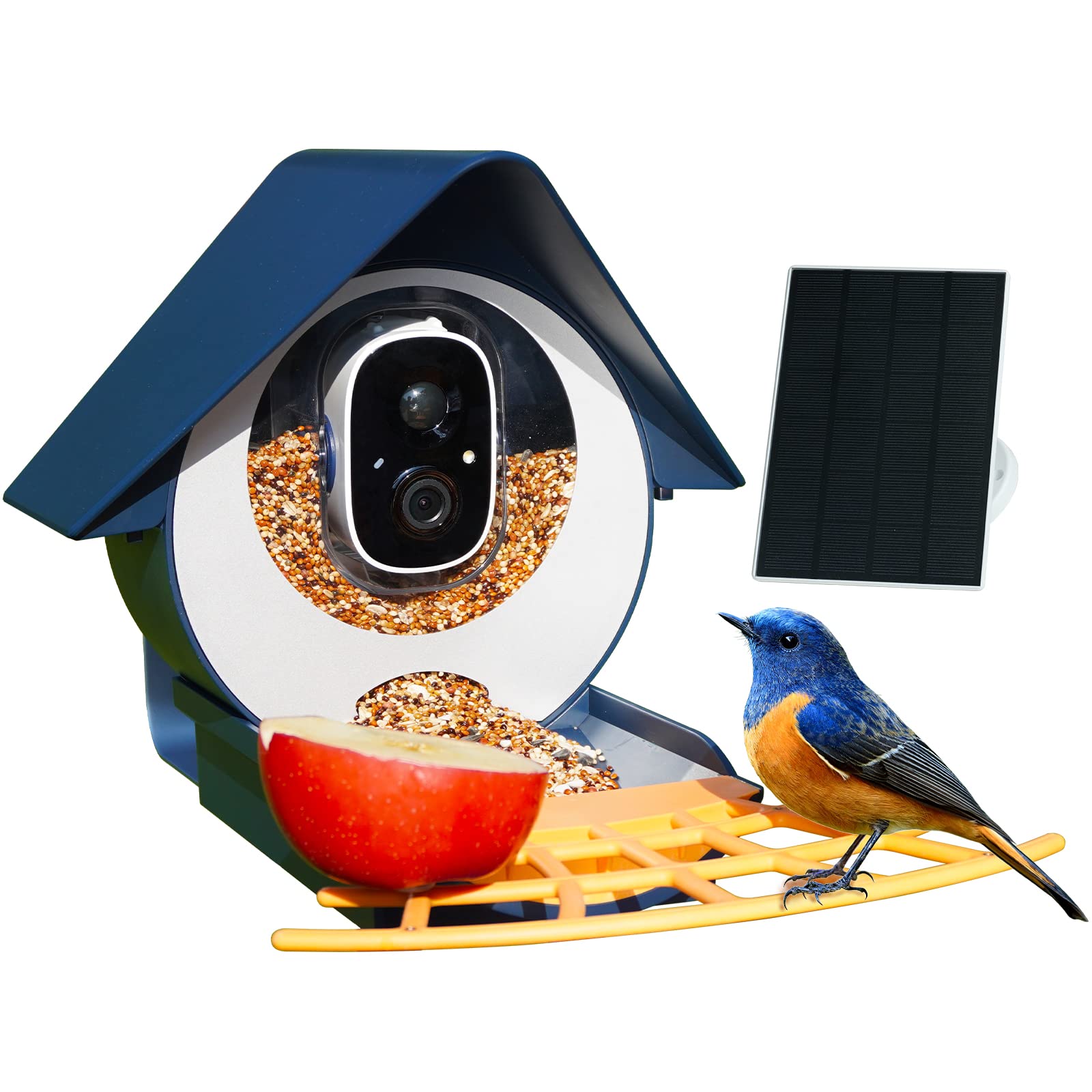 10 Best Bluebird Bird Feeders with Camera for Capturing Stunning Footage Hummingbirds Plus