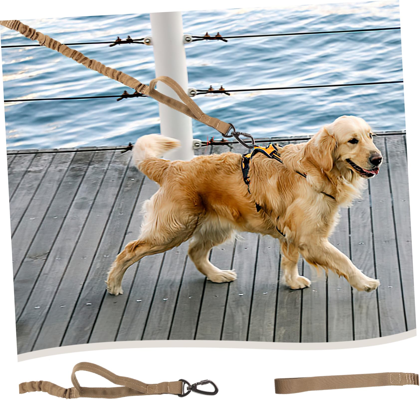 Sosoport 3pezzi Guinzaglio Regolabile Per Cani Nylon Elasticizzato Design Per Addestramento Resistente e Confortevole Da Impugnare Per Passeggiate e Addestramento Cani