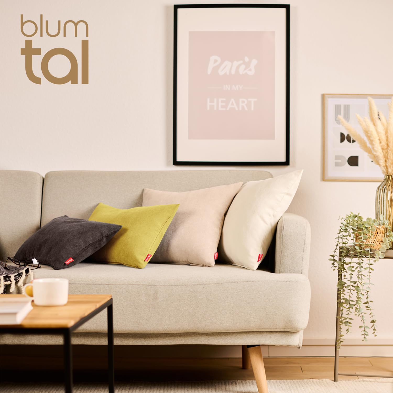 Blumtal Federe Cuscini Divano in Ciniglia, Copricuscini Divano, Federe Cuscino Divano, 2 Pezzi, 60 x 60cm, Marrone Scuro