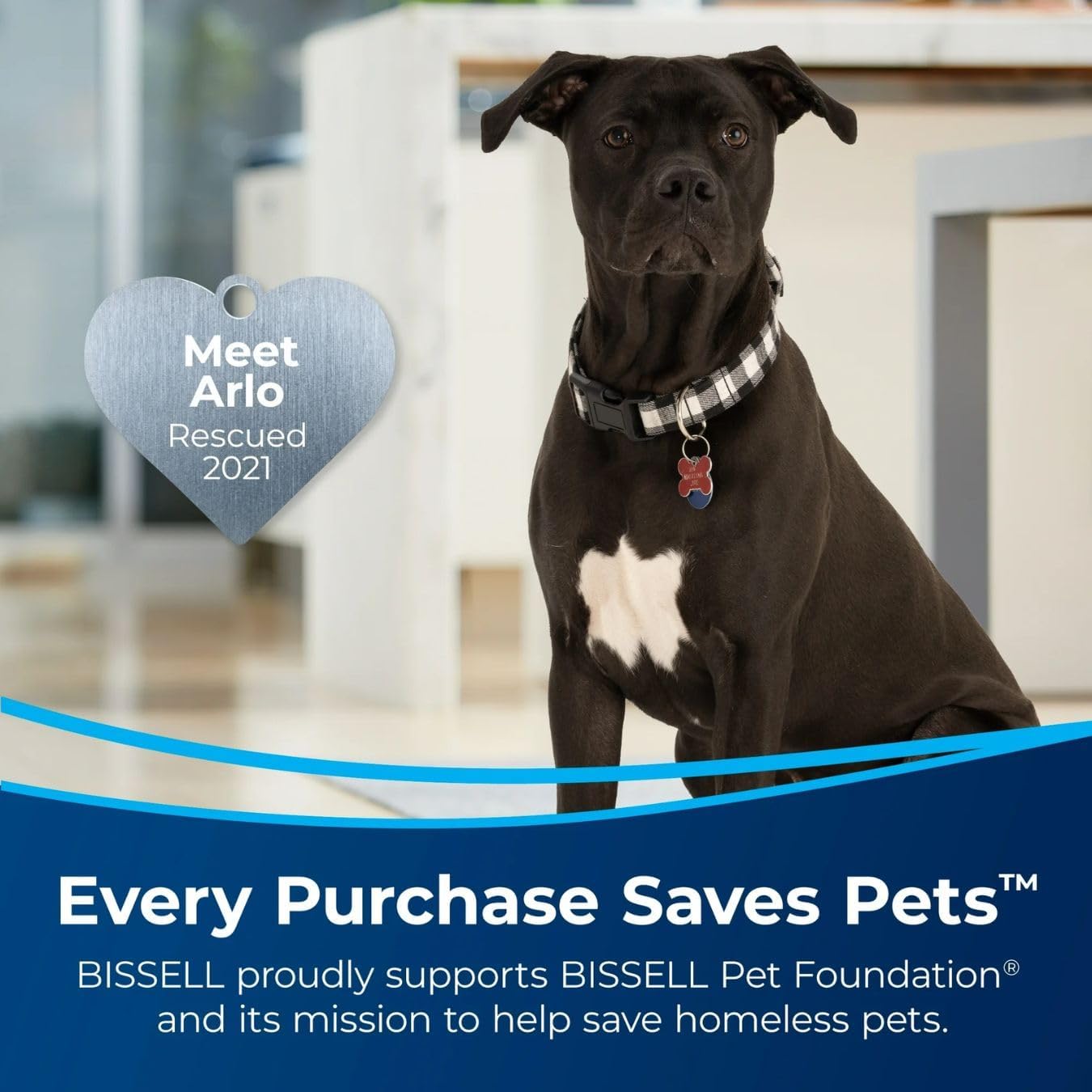 BIISSELLL Power Force Helix Bagless Upright Vacuum, Powerful Suction for Pet Hair,Carpet, Tile & Hardwood,Cleaning, Scatter-Free Technology, Large Dirt Tank, 23ft Cord, 5 Height Settings (Purple)