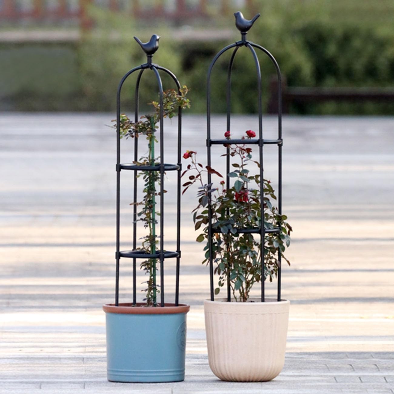 Obélisque de jardin extérieur réglable et tuteur colonne pour rosier grimpeur