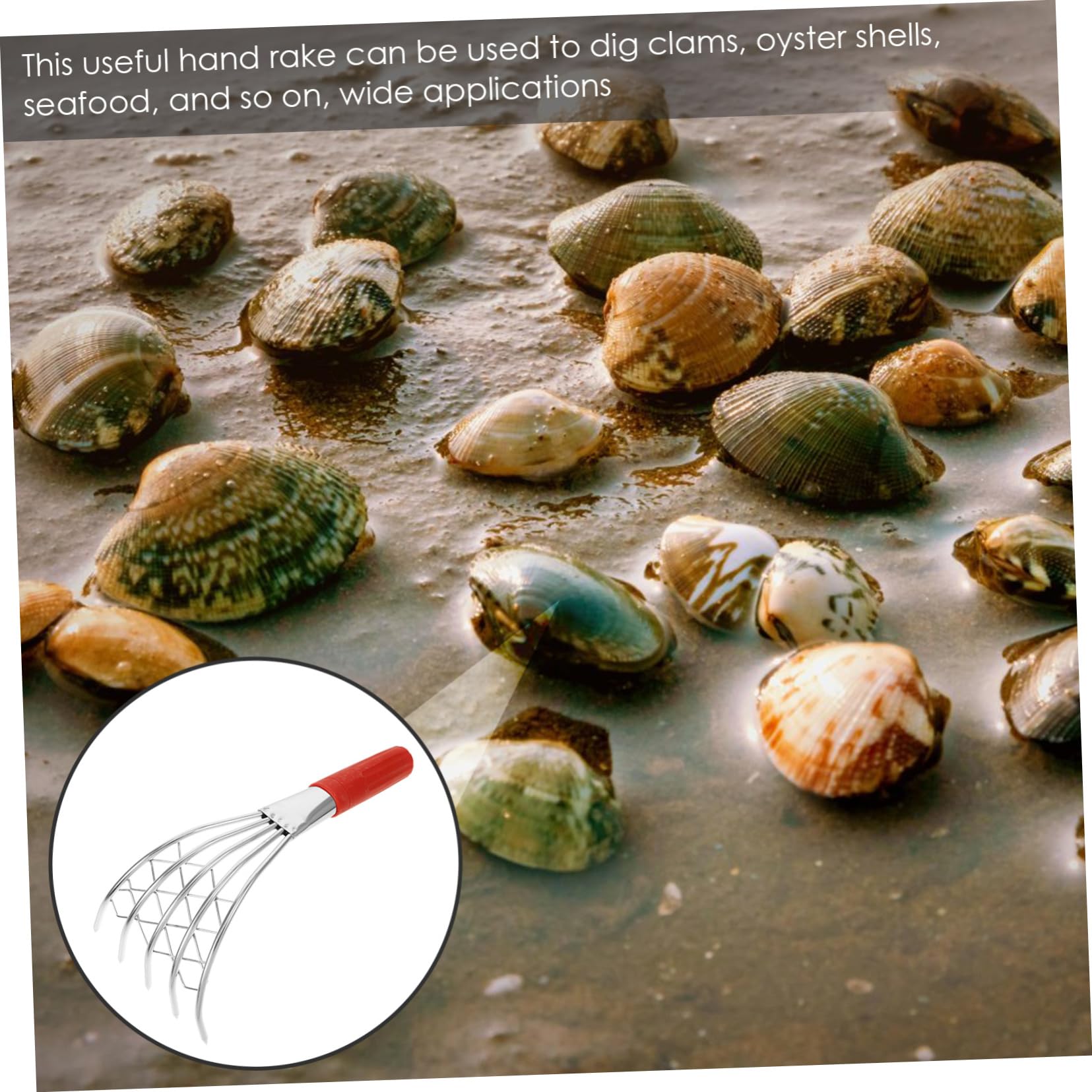 Toddmomy 4 Stück Kleiner Muschelrechen für Leichter Rutschfester Griff zum Muscheln und Am Strand Perfektes Werkzeug für Meeresfrüchte und Gartenarbeiten