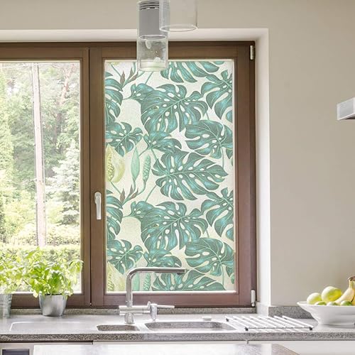 RoyalWallSkins Película decorativa estática para ventana, impresa en películas esmeriladas, hojas de Monstera para privacidad, hogar y oficina, 24 x