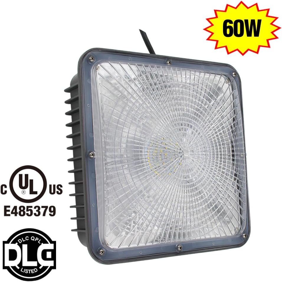 NGTlight 60W LED Canopy Light Retrofit 250W HPS Ceiling Gas Station Lights Low Bay Industrial Warehouse Lighting 5000K Daylight Waterproof UL DLC Approved