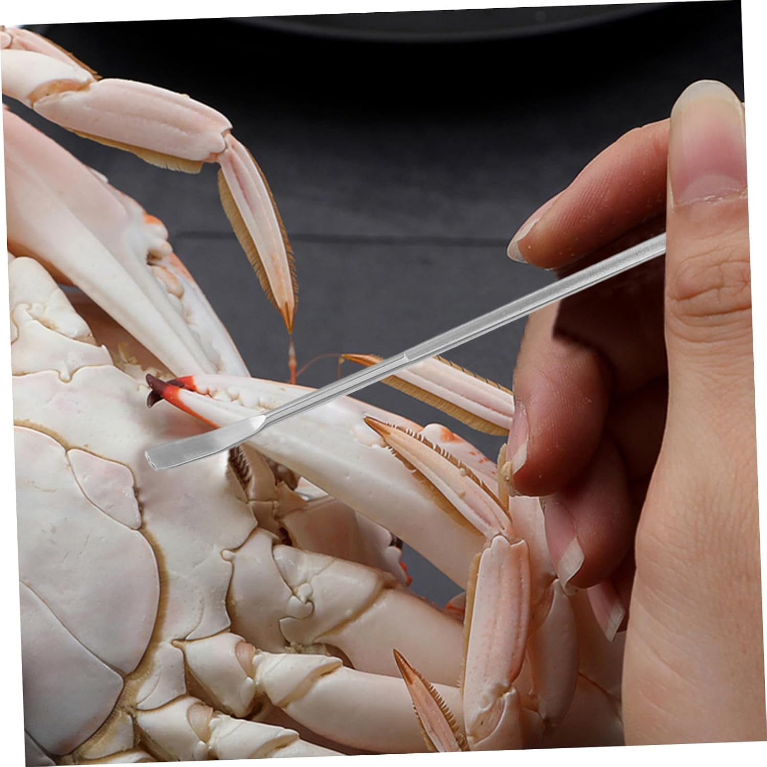Premium Crab Eating Tool Kit Seafood Tools Set Crab Boil Party Supplies Stainless Steel