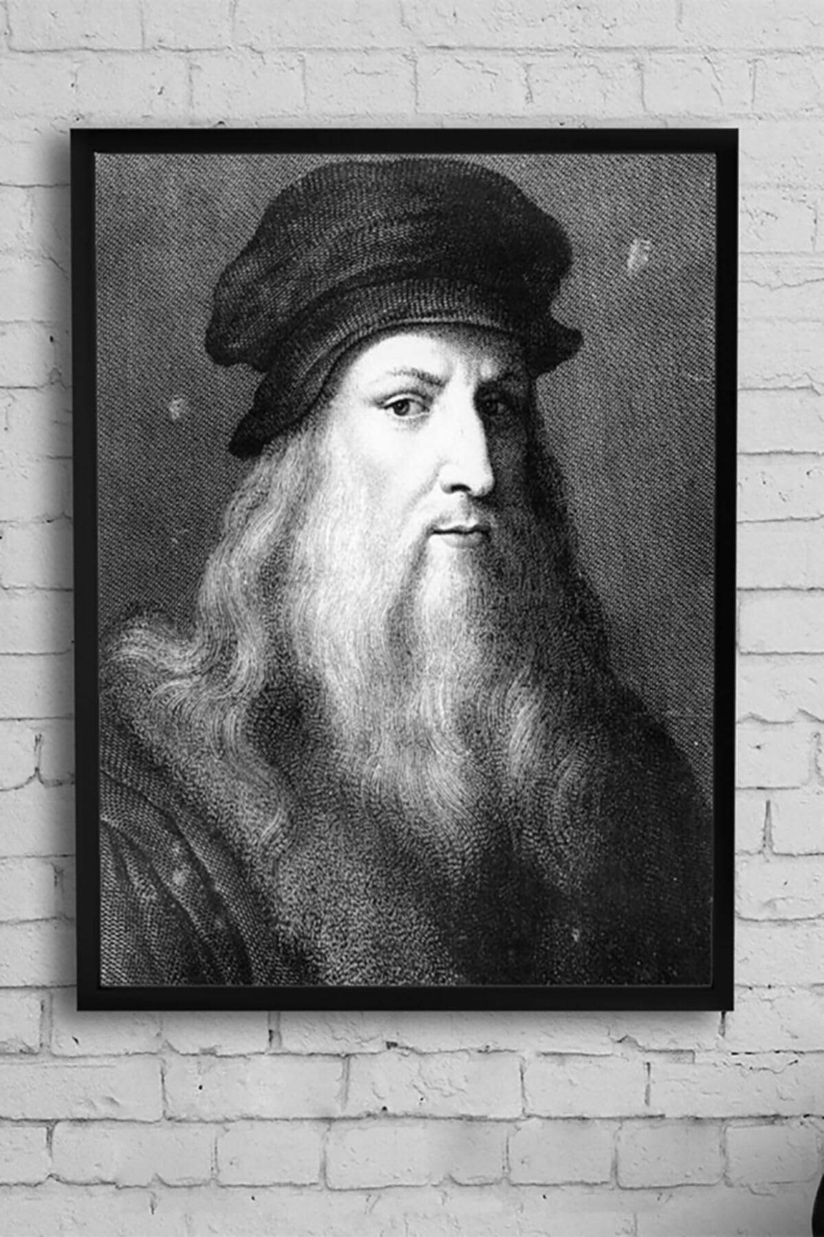 Postermanya (pster10613) Vinci Bilimsel Çerçeveli Tablo (30 X 40cm)