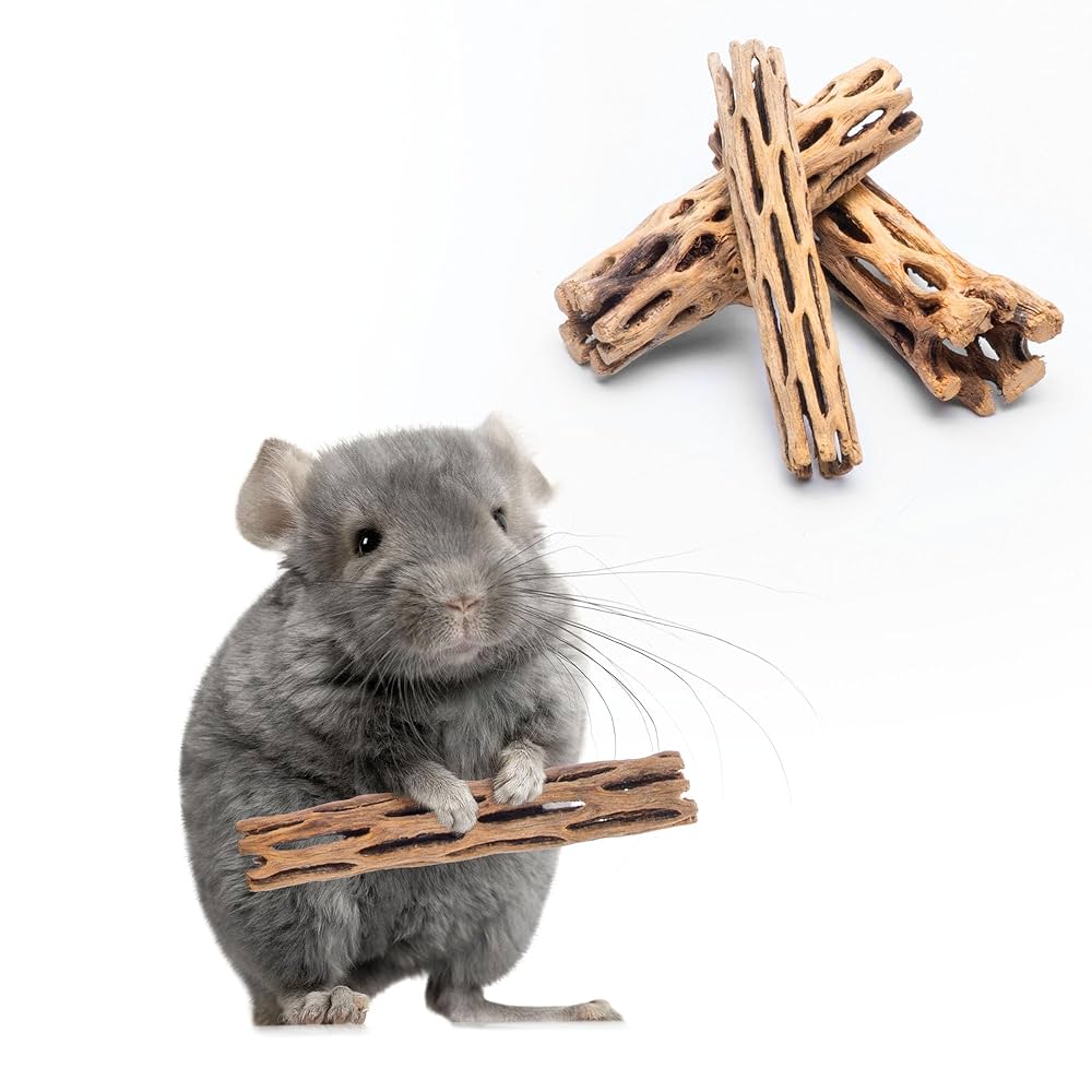 Aazon.co : Awesoe Aquatic Natural Cholla Choya Wood 5 Pieces 6" Habitat For Shrip Herit