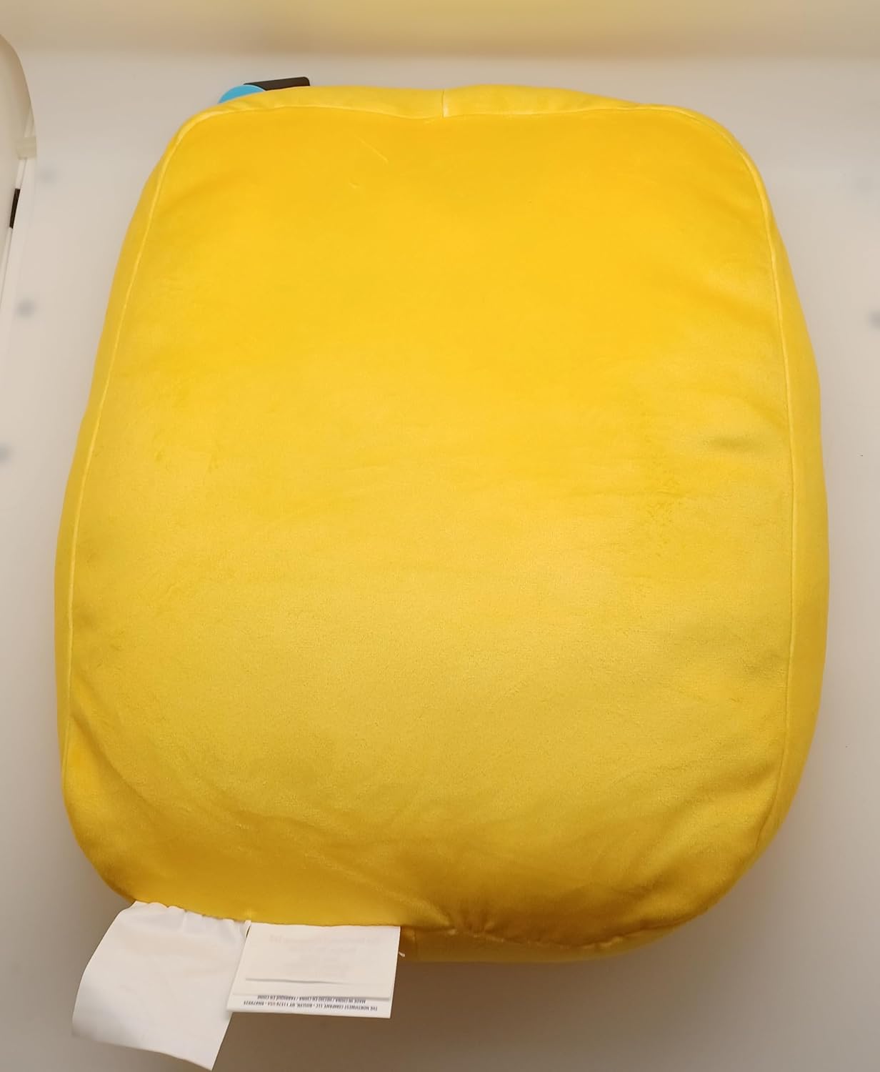 Northwest NCAA Travel Cloud Pillow 15" x 2"