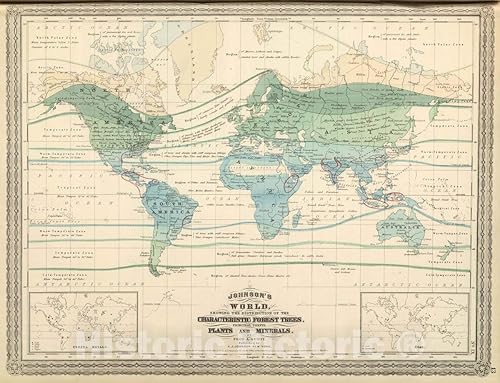 Mapa histórico árboles del bosque, plantas y minerales útiles, Atlas 1874 - Arte de pared vintage - 44 x 34 pulgadas