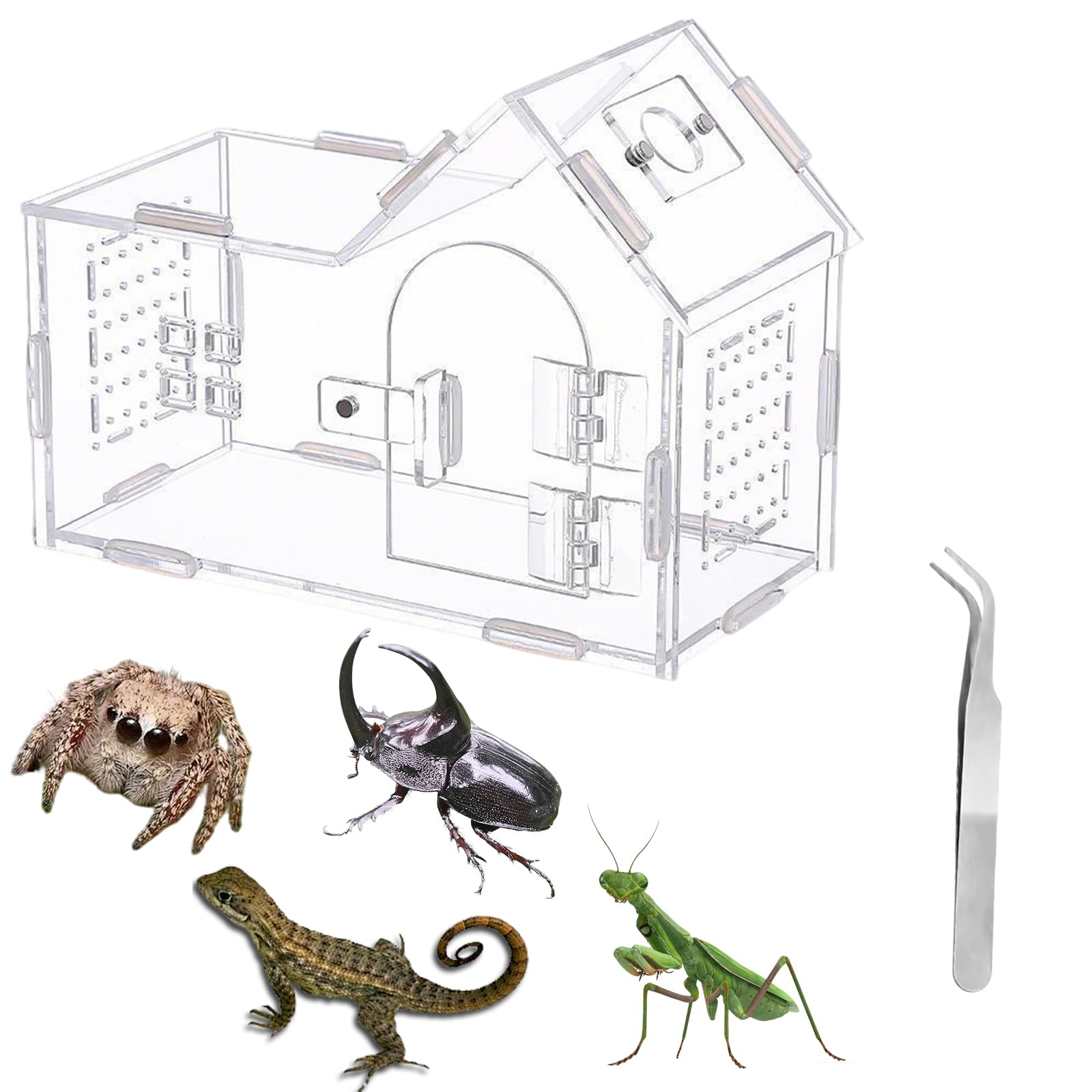 1Pcs Acrylic Spider Enclosure, 20x15x10cm Clear Terrarium Tweezers
