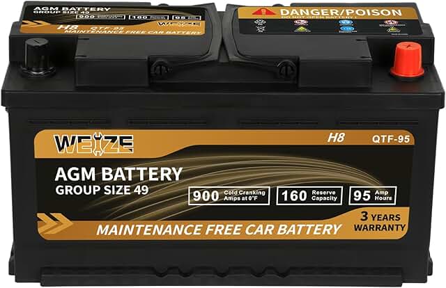 Weize Group 49 AGM Battery