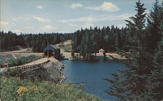 Covered Bridge, Lake, and Forest, Fundy National Park Moncton, New Brunswick NB Original Vintage Postcard