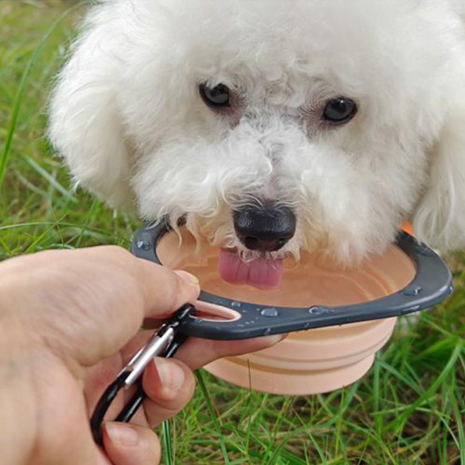 Foldable Dog Bowl, Portable Water Bowl Folding Dish, Food Container Feeder with Carabiner Clip, Travel-Friendly Pet Watering Dish for Outdoor Hiking, Walking, Camping Use, 15.7x14x1.1cm Blue Pink