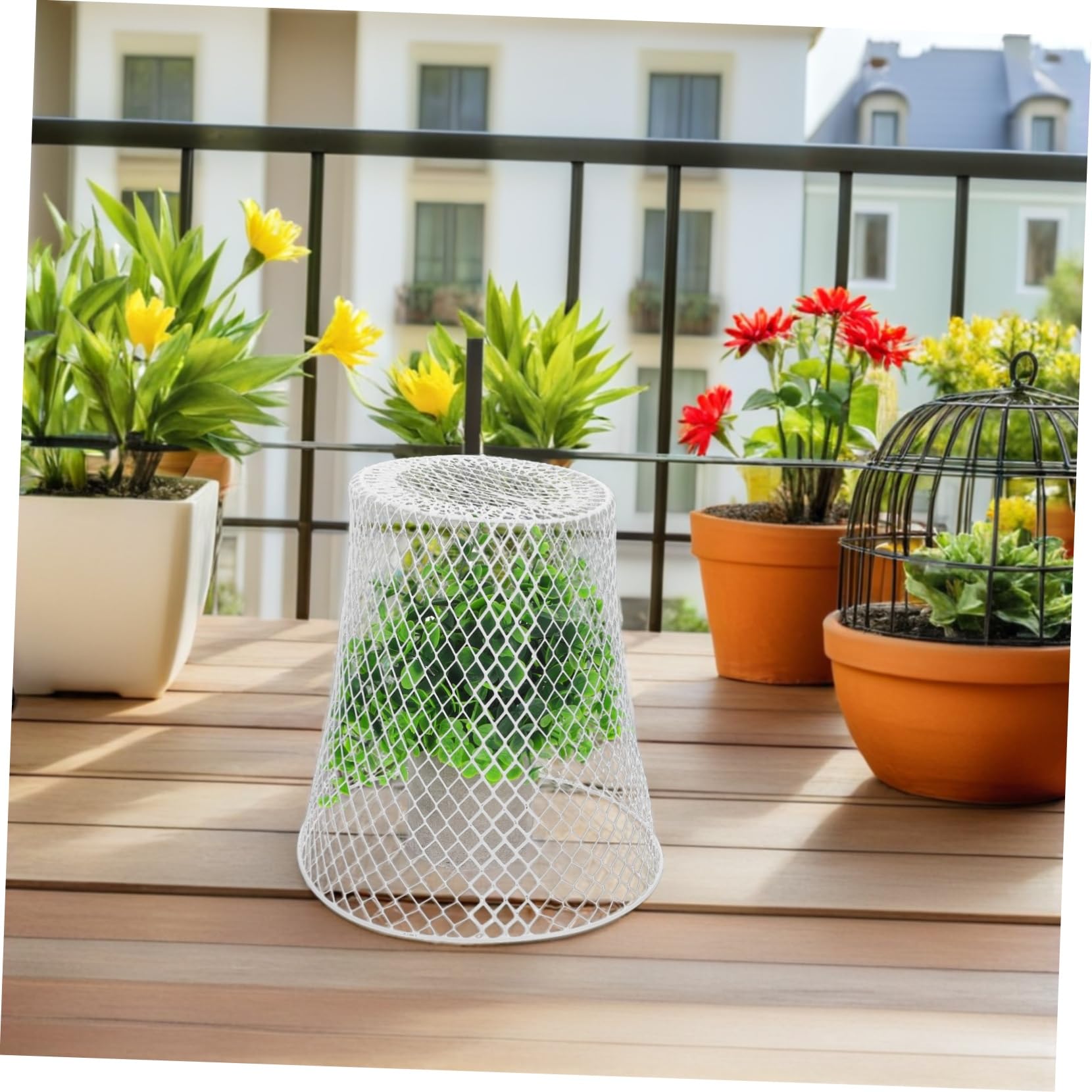 Cloches Métalliques pour Plantes Protection Animaux Jardins Et Facile Accès pour Arrosage