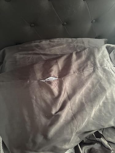 Review Image by Ashlyn Grace
