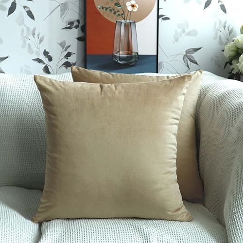 Cyuripu Paquete de 2 fundas de almohada de terciopelo de color rosa claro de 24 x 24 pulgadas, fundas de cojín cuadradas decorativas suaves y