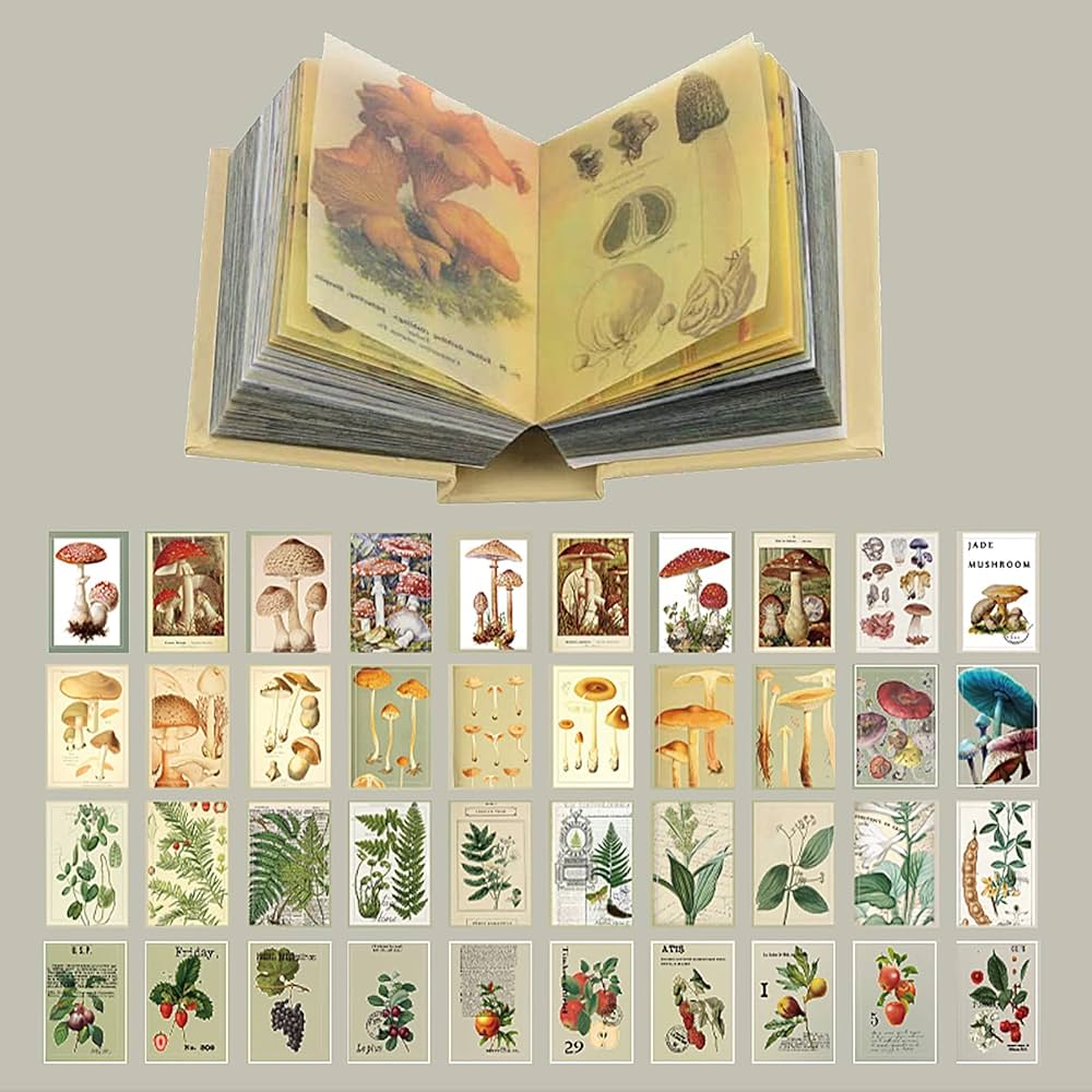 Amazon.co.jp: コラージュ 素材 400枚入り ノート型 デザインペーパー Amazon.co.jp: コラージュ 素材 400枚入り ノート型 デザインペーパー